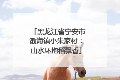 黑龙江省宁安市渤海镇小朱家村：山水环抱稻飘香