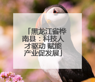 黑龙江省桦南县：科技人才驱动 赋能产业促发展
