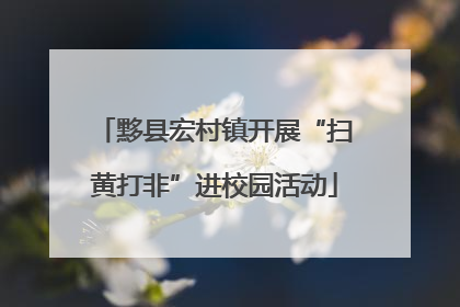 黟县宏村镇开展“扫黄打非”进校园活动