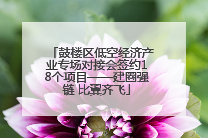 鼓楼区低空经济产业专场对接会签约18个项目——建圈强链 比翼齐飞