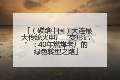 （碳路中国）大连最大传统火电厂“变形记”：40年燃煤老厂的绿色转型之路