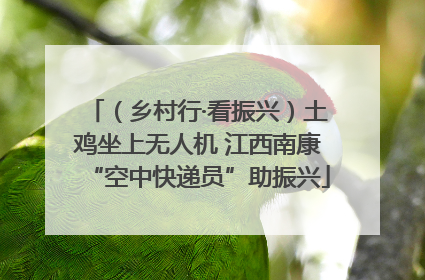 （乡村行·看振兴）土鸡坐上无人机 江西南康“空中快递员”助振兴