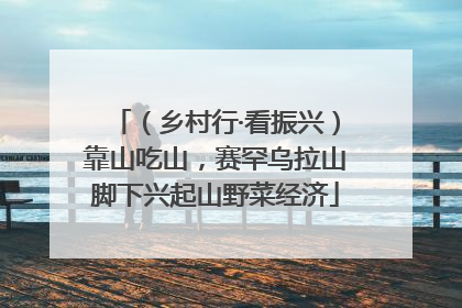 （乡村行·看振兴）靠山吃山，赛罕乌拉山脚下兴起山野菜经济