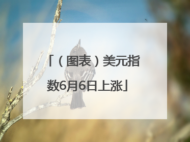 （图表）美元指数6月6日上涨