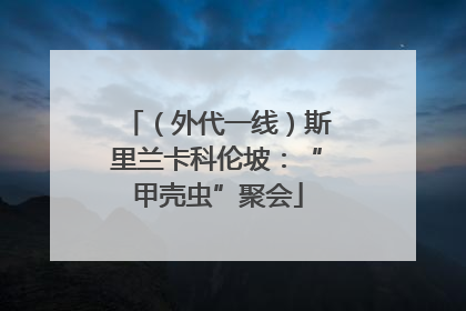 （外代一线）斯里兰卡科伦坡：“甲壳虫”聚会