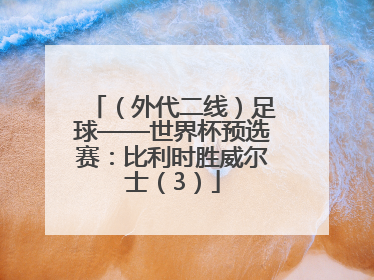 （外代二线）足球——世界杯预选赛：比利时胜威尔士（3）