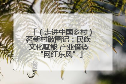 （走进中国乡村）茗新村破圈记：民族文化赋能 产业借势 “网红东风”