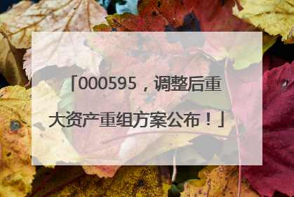000595，调整后重大资产重组方案公布！