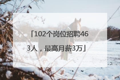 102个岗位招聘463人，最高月薪3万