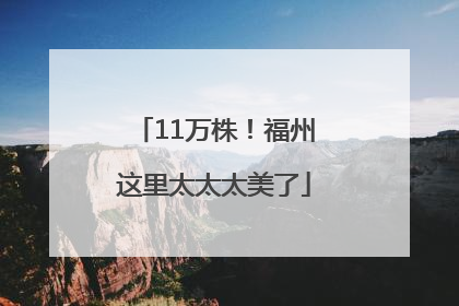 11万株！福州这里太太太美了