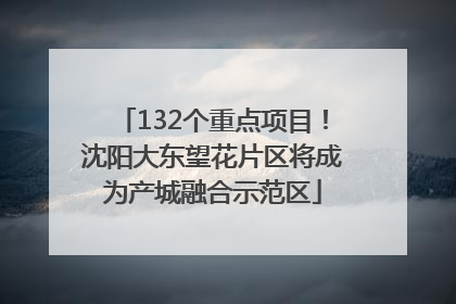 132个重点项目！沈阳大东望花片区将成为产城融合示范区