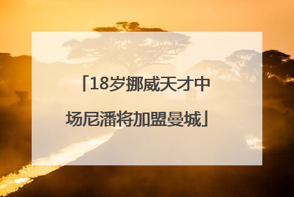 18岁挪威天才中场尼潘将加盟曼城