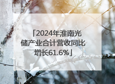2024年淮南光储产业合计营收同比增长61.6%