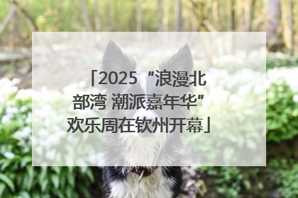 2025“浪漫北部湾 潮派嘉年华”欢乐周在钦州开幕