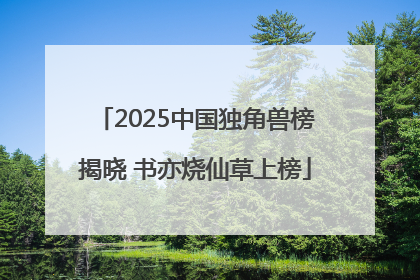 2025中国独角兽榜揭晓 书亦烧仙草上榜