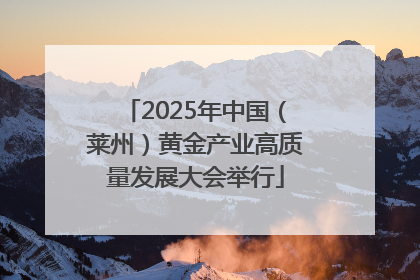 2025年中国（莱州）黄金产业高质量发展大会举行
