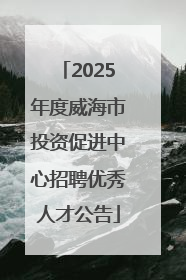 2025年度威海市投资促进中心招聘优秀人才公告