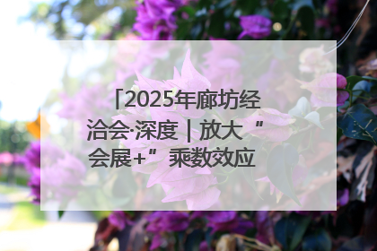 2025年廊坊经洽会·深度｜放大“会展+”乘数效应 打造消费新场景
