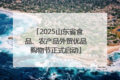 2025山东省食品、农产品外贸优品购物节正式启动