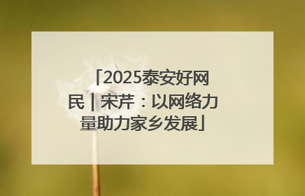 2025泰安好网民｜宋芹：以网络力量助力家乡发展