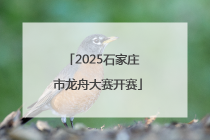 2025石家庄市龙舟大赛开赛