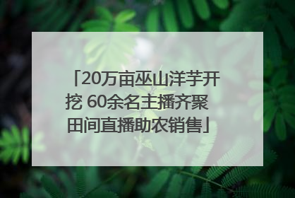 20万亩巫山洋芋开挖 60余名主播齐聚田间直播助农销售