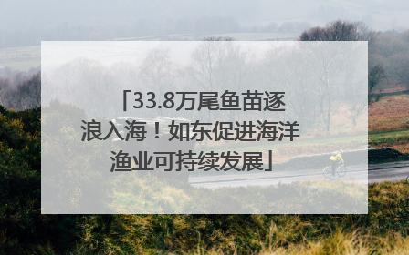 33.8万尾鱼苗逐浪入海！如东促进海洋渔业可持续发展