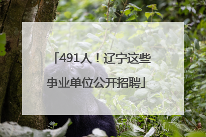 491人！辽宁这些事业单位公开招聘