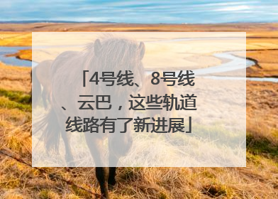 4号线、8号线、云巴，这些轨道线路有了新进展