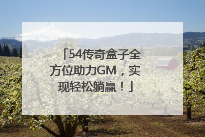 54传奇盒子全方位助力GM，实现轻松躺赢！