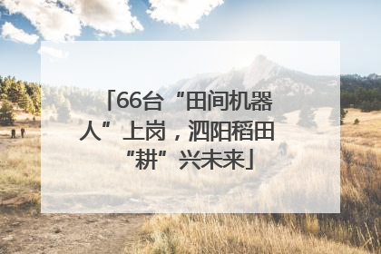 66台“田间机器人”上岗，泗阳稻田“耕”兴未来