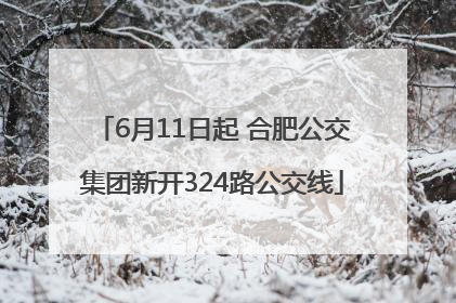 6月11日起 合肥公交集团新开324路公交线