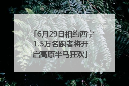 6月29日相约西宁 1.5万名跑者将开启高原半马狂欢