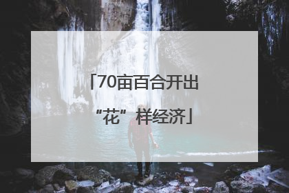 70亩百合开出“花”样经济