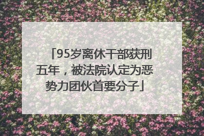 95岁离休干部获刑五年，被法院认定为恶势力团伙首要分子