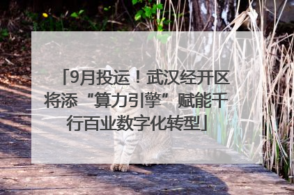 9月投运！武汉经开区将添“算力引擎”赋能千行百业数字化转型