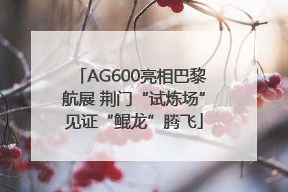 AG600亮相巴黎航展 荆门“试炼场”见证“鲲龙”腾飞