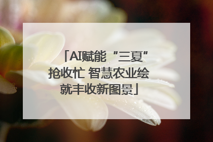 AI赋能“三夏”抢收忙 智慧农业绘就丰收新图景