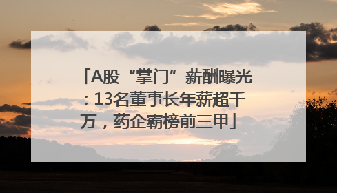 A股“掌门”薪酬曝光：13名董事长年薪超千万，药企霸榜前三甲