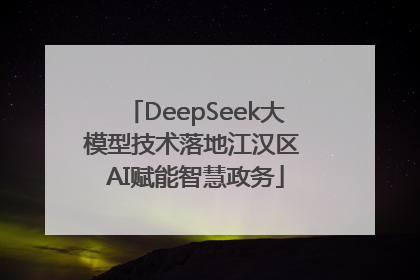 DeepSeek大模型技术落地江汉区 AI赋能智慧政务
