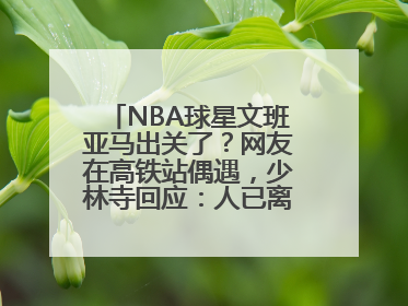 NBA球星文班亚马出关了？网友在高铁站偶遇，少林寺回应：人已离开寺院