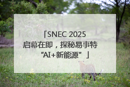 SNEC 2025启幕在即，探秘易事特“AI+新能源”