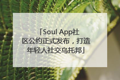 Soul App社区公约正式发布，打造年轻人社交乌托邦